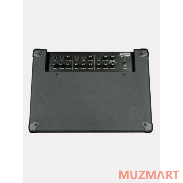 Yerasov KEYamp-R2 Комбоусилитель