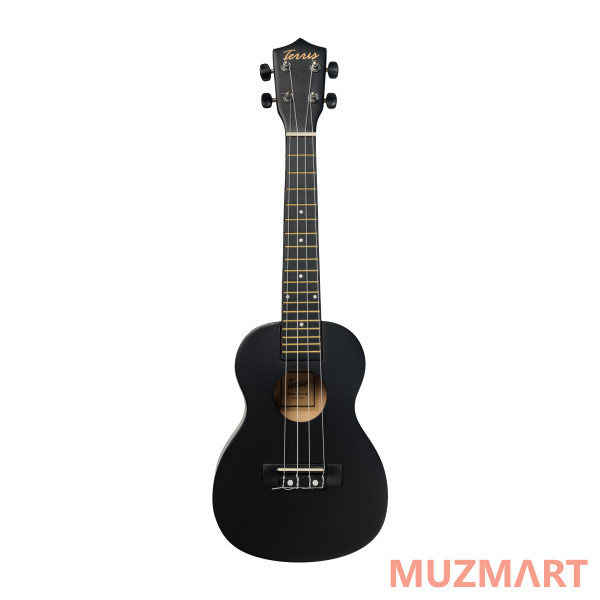 Terris TTC-1 BK Укулеле концерт