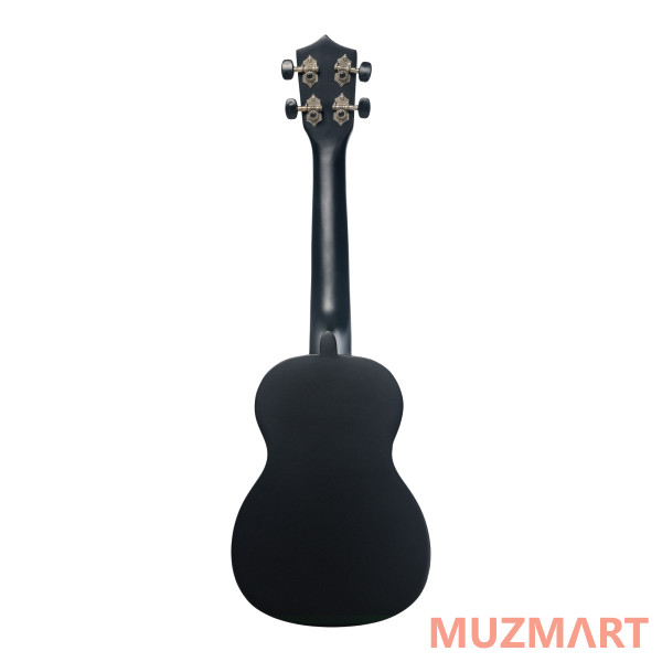 Terris TTC-1 BK Укулеле концерт