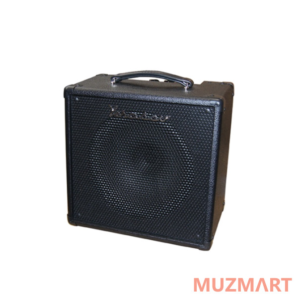 Yerasov GTA-15J12-Black Комбоусилитель гитарный