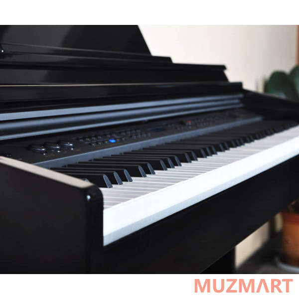Artesia DP-150e Black Polish Цифровое фортепиано