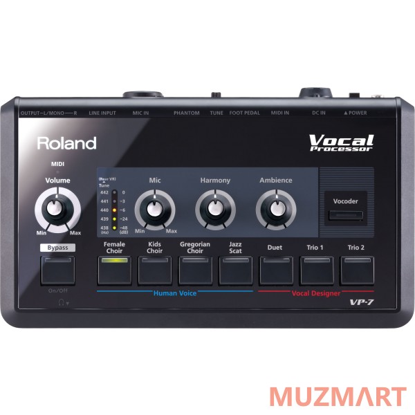 Roland VP-7 Звуковой модуль-генератор подголосков 64 голоса полифония