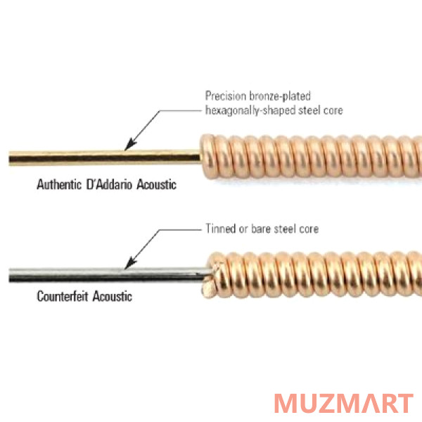 D'Addario EJ16-B25 Phosphor Bronze Струны для акустической гитары