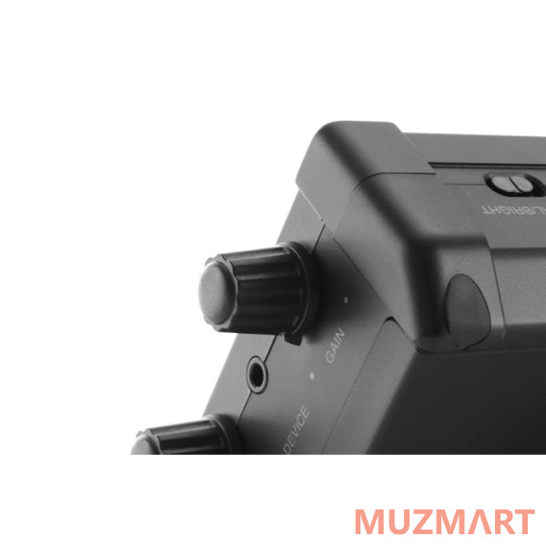 IK Multimedia iRig Nano Amp портативный гитарный усилитель