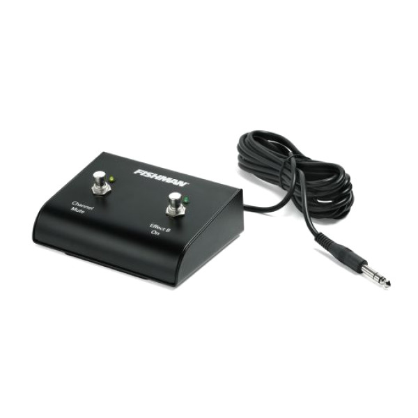 Fishman ACC-LBX-FSW Футсвич