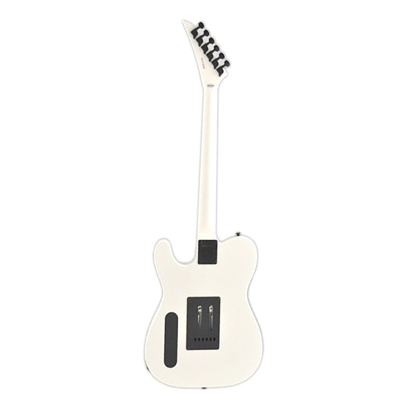 Fernandes Guitars TEJ-STD SH SW Электрогитара