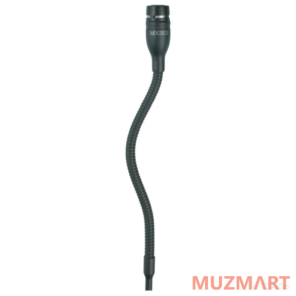 Shure MX202B/MS Суперкардиоидный микрофон