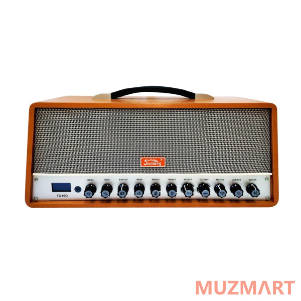 Soundking TG10D Комбоусилитель гитарный
