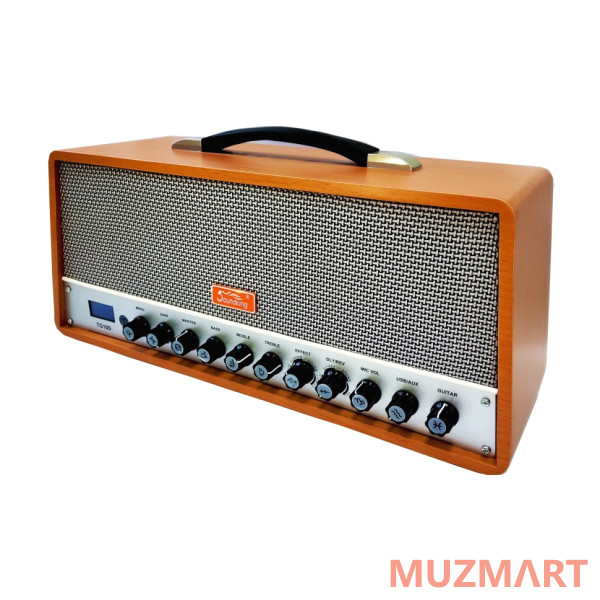Soundking TG10D Комбоусилитель гитарный