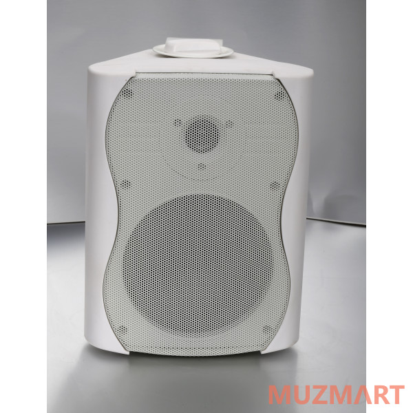 SVS Audiotechnik WS-30 White Громкоговоритель настенный