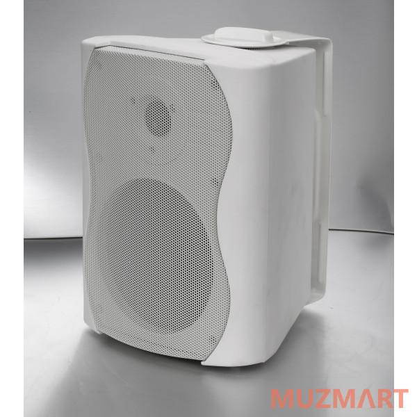SVS Audiotechnik WS-30 White Громкоговоритель настенный
