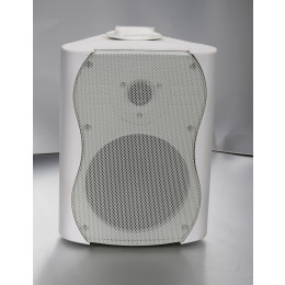 SVS Audiotechnik WS-30 White Громкоговоритель настенный