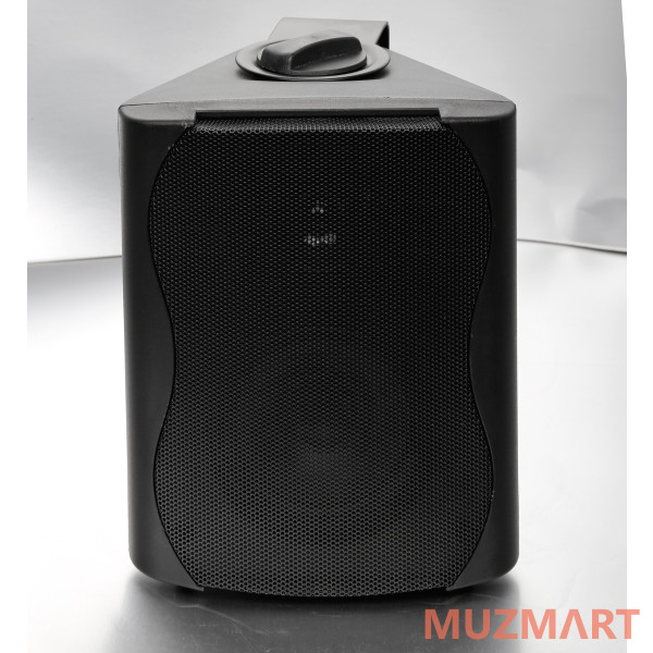 SVS Audiotechnik WS-40 Black Громкоговоритель настенный