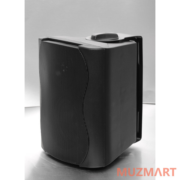 SVS Audiotechnik WS-40 Black Громкоговоритель настенный