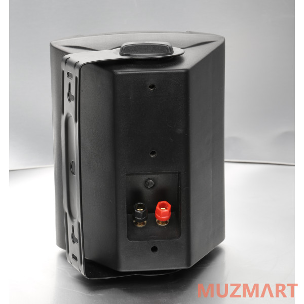 SVS Audiotechnik WS-40 Black Громкоговоритель настенный