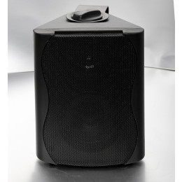 SVS Audiotechnik WS-40 Black Громкоговоритель настенный