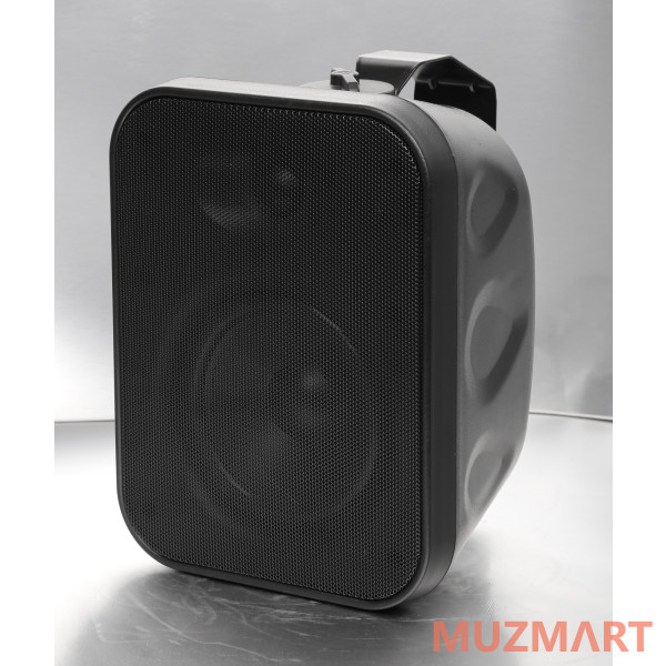 SVS Audiotechnik WSP-40 Black Громкоговоритель настенный