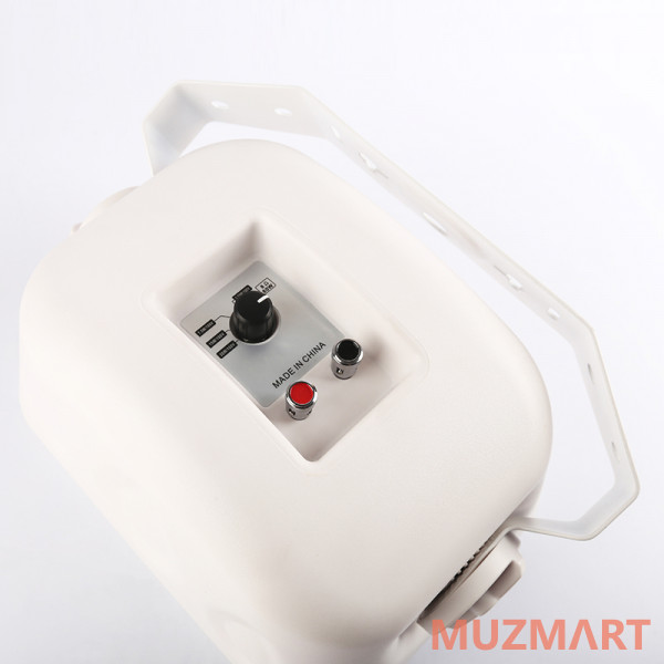 SVS Audiotechnik WSP-40 White Громкоговоритель настенный