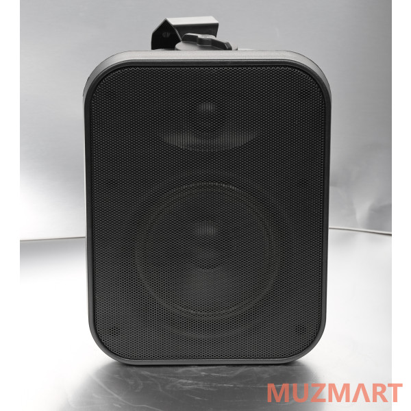 SVS Audiotechnik WSP-60 Black Громкоговоритель настенный