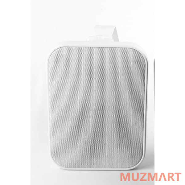 SVS Audiotechnik WSP-60 White Громкоговоритель настенный