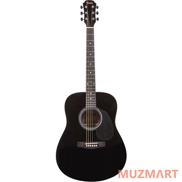 Aria FIESTA FST-300 BK Акустическая гитара