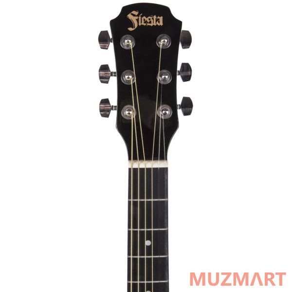 Aria FIESTA FST-300 BK Акустическая гитара