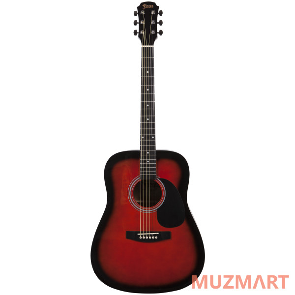 Aria FIESTA FST-300 BS Акустическая гитара