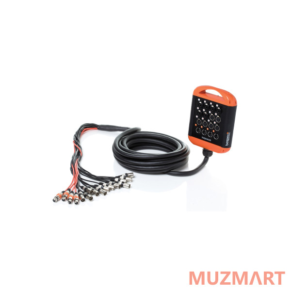 Bespeco XTRA1204L30SC Мультикор