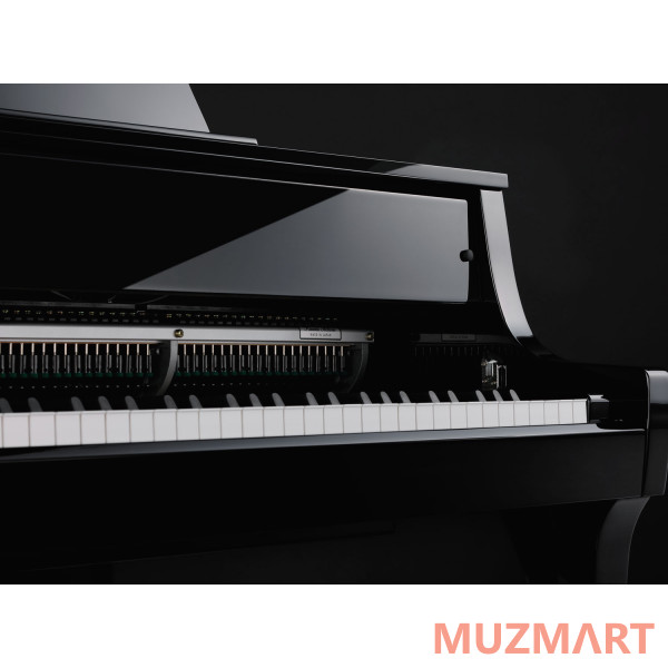 Kawai NOVUS NV-10 Цифровой рояль