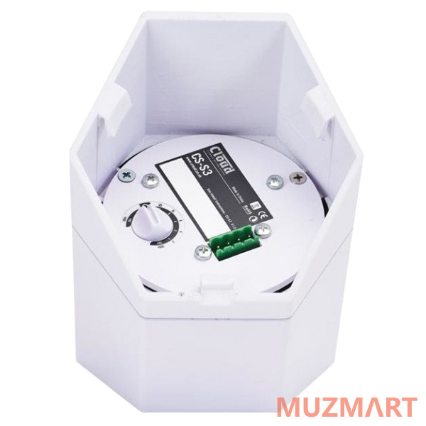 Cloud Electronics CS-S3W настенный громкоговоритель