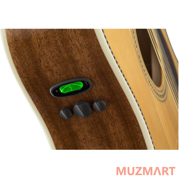 Fender PM-1E Dread Std Nat w/case OV Электроакустическая гитара