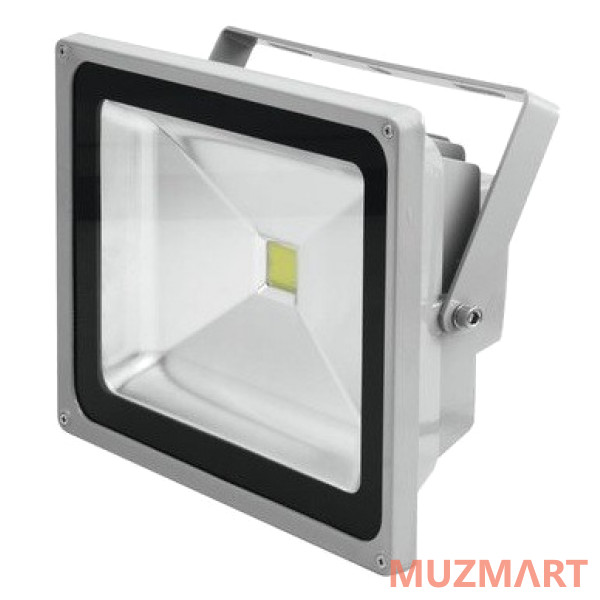 Eurolite LED IP FL-50 COB 6400K 120° classic Прожектор