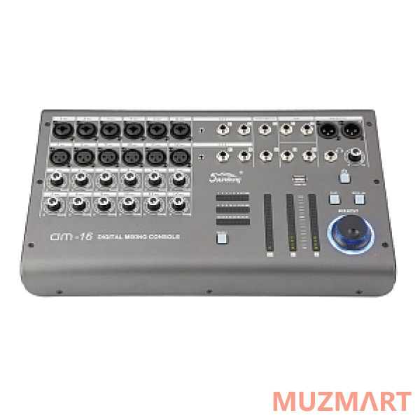 Soundking DM16 Микшерный пульт цифровой