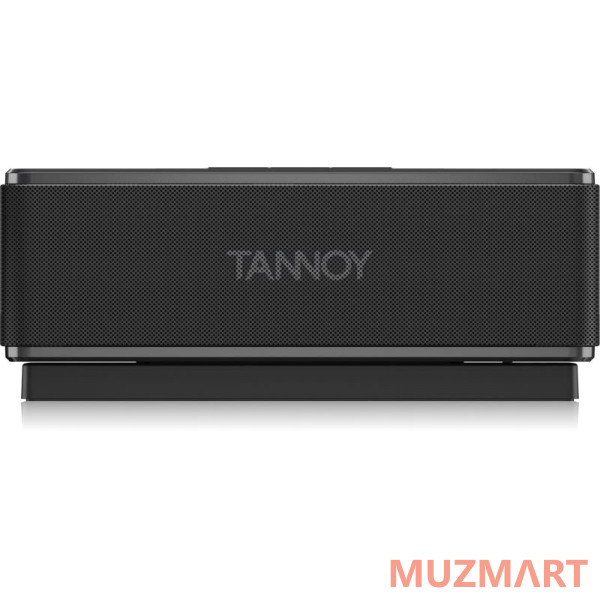 Tannoy LIVE MINI Портативная колонка