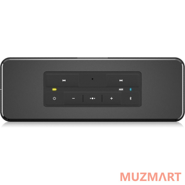 Tannoy LIVE MINI Портативная колонка