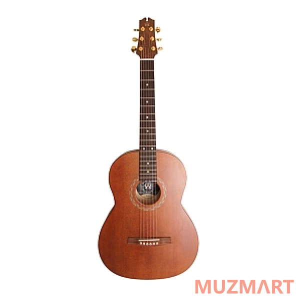 NewTone N17GASDB Акустическая гитара