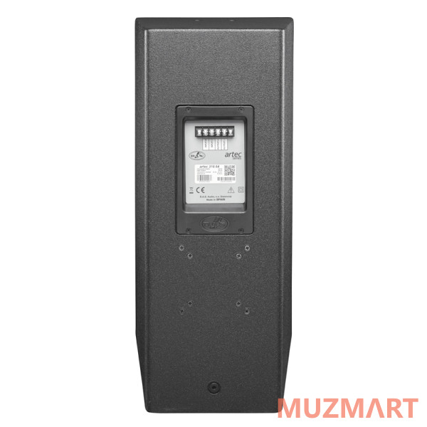 Das Audio ARTEC-310.96 Пассивная акустическая система