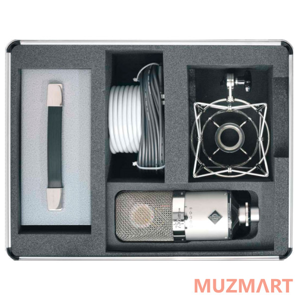 Neumann M 149 TUBE set Студийный микрофон