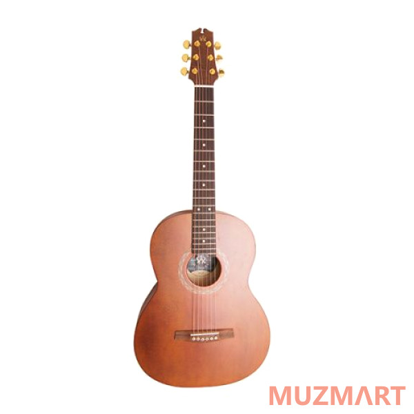 NewTone N17GASNT №17 Акустическая гитара