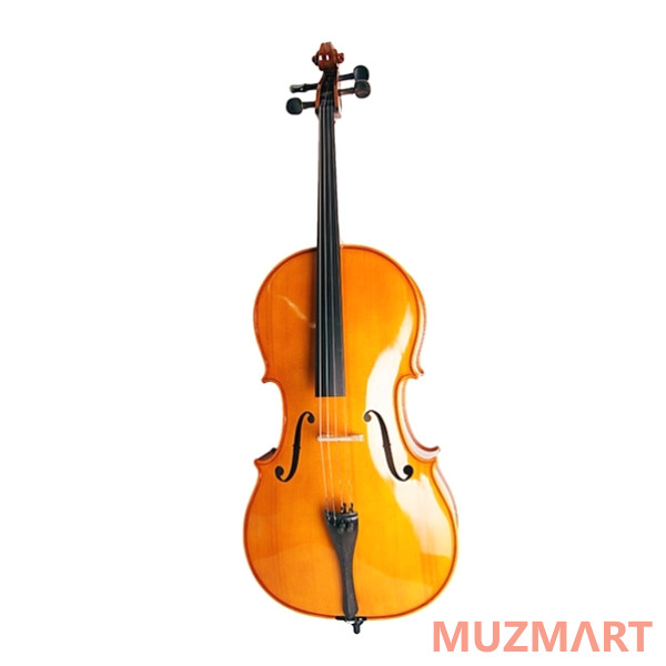 Strunal 4/17C-1/2 Salzburg Виолончель 1/2