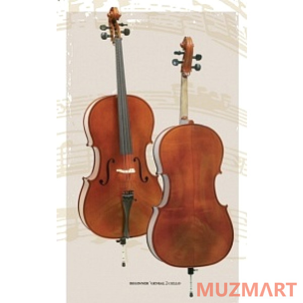 Gliga B-C044-L Beginer Genial 2 Nitro Laminated Виолончель 4/4