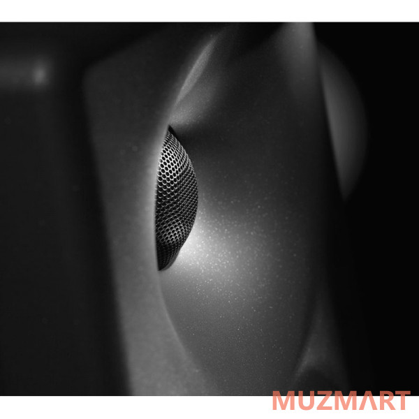 Neumann KH 80 DSP(AG-EU) Двухполосный активный монитор