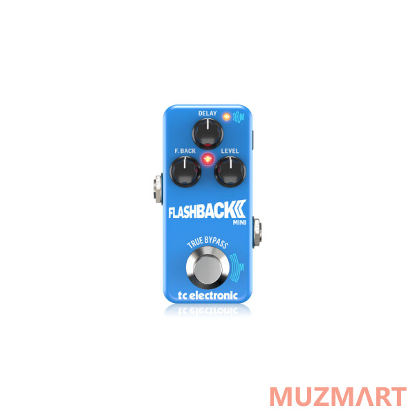 TC Electronic FLASHBACK 2 MINI DELAY Эффект делэй