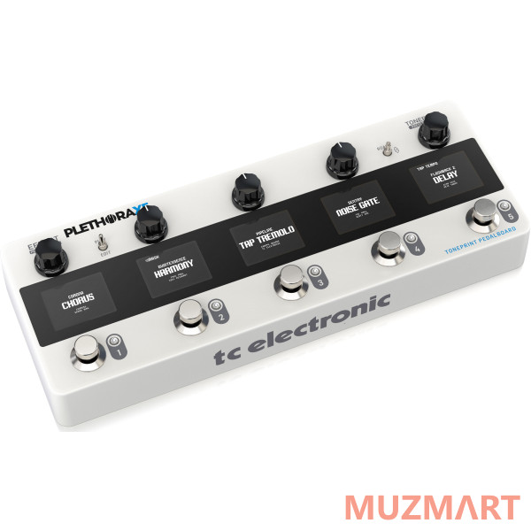 TC Electronic PLETHORA X5 Процессор эффектов для гитары