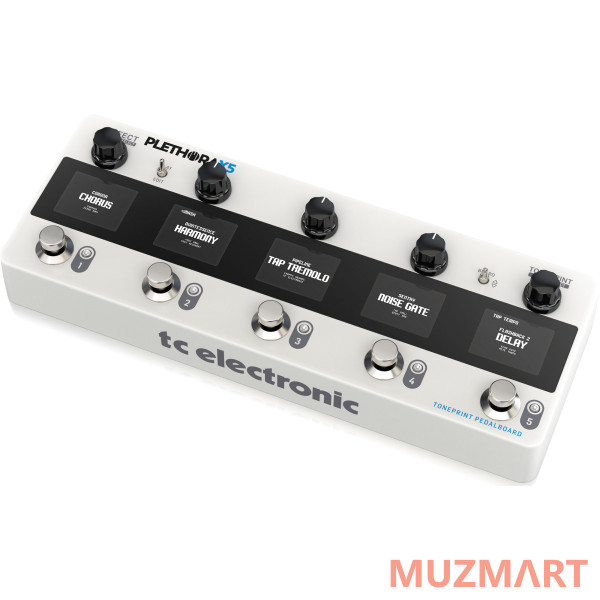 TC Electronic PLETHORA X5 Процессор эффектов для гитары