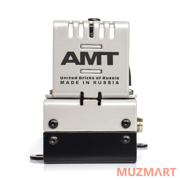 AMT Electronics P-Lead AMT Bricks Гитарный предусилитель