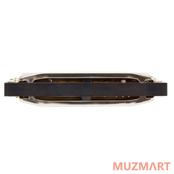 Hohner Special 20 560/20 Eb (M560046X) Губная гармоника