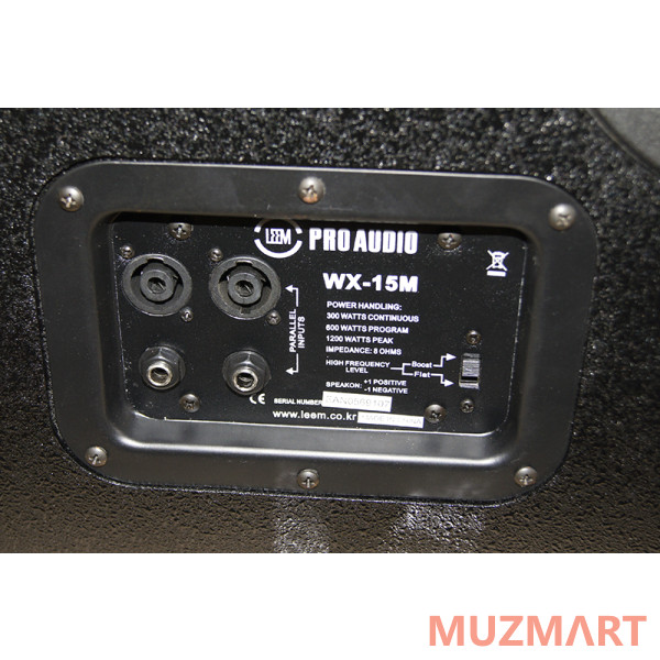 Leem WX-15MP Сценический монитор