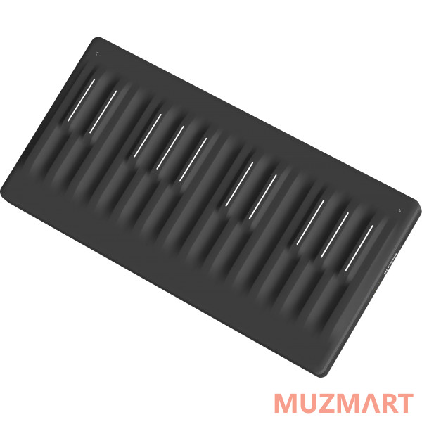 ROLI Seaboard Block Studio Edition Компактный клавишный контроллер