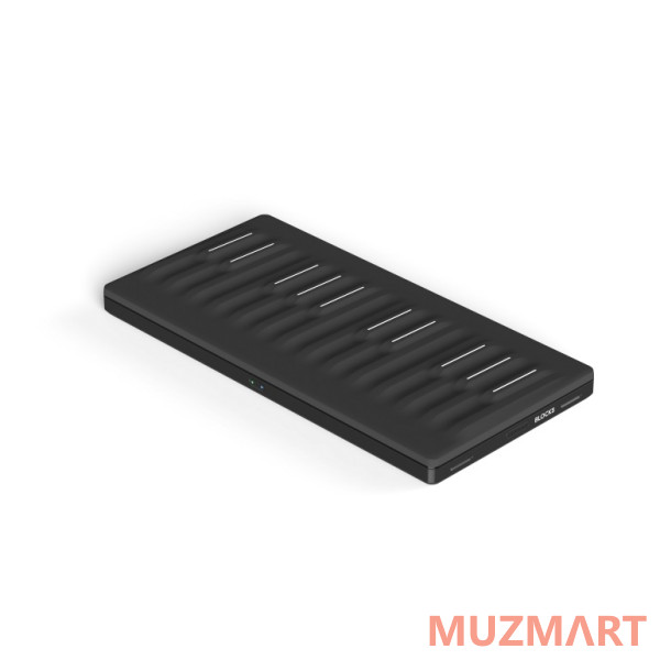 ROLI Seaboard Block Studio Edition Компактный клавишный контроллер